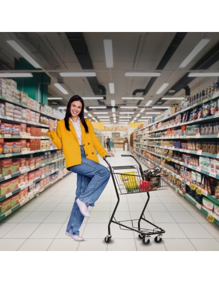 Kundvagn Mini 36 liter