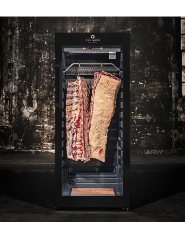 DRY AGER DX 1000 Premium S - Black (svart pulverlackerad, ej låsbar)