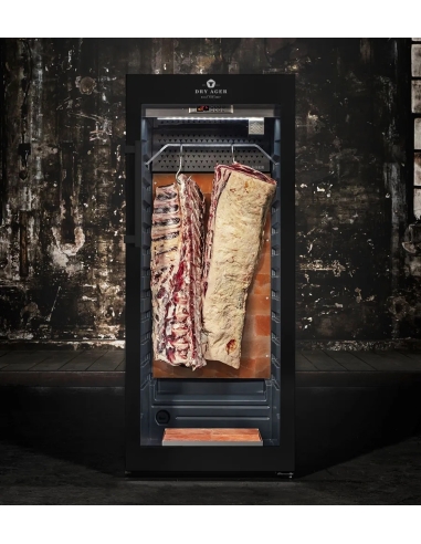 DRY AGER DX 1000 Premium S - Black (svart pulverlackerad, ej låsbar)