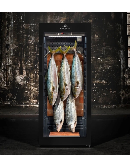 DRY AGER DX 1000 Premium S - Black (svart pulverlackerad, ej låsbar)