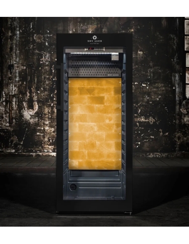 DRY AGER DX 1000 Premium S - Black (svart pulverlackerad, ej låsbar)